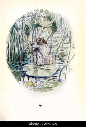 The  boat was round and green, The tale of Mr. Jeremy Fisher by Beatrix Potter, The Tale of Mr. Jeremy Fisher is a children's book, written and illustrated by Beatrix Potter. It was published by Frederick Warne & Co. in July 1906. Jeremy Fisher is a frog that lives in a 'slippy-sloppy' house at the edge of a pond. During one rainy day, he collects worms for fishing and sets off across the pond on his lily-pad boat. He plans to invite his friends for dinner if he catches more than five minnows. He encounters all sorts of setbacks to his goal, and escapes a large trout who tries to swallow him. Stock Photo