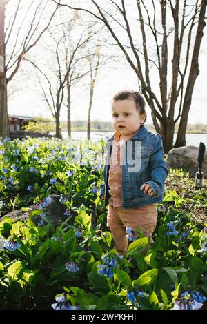 Toddler boy stands in flower field in spring sunshine with trees Stock Photo