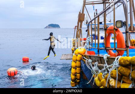 Haenyeo divers, famous for diving into their eighties and holding their ...