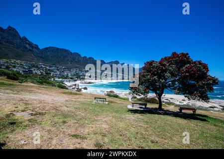 Fine sand beach under the Twelve Apostles, Camps Bay, Cape Town, South Africa, Africa Stock Photo