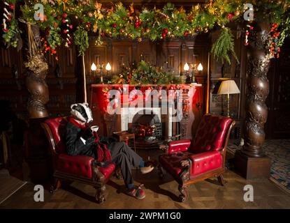 06/11/15  Badger in his Kitchen in The Oak Room.  Inspired by The Wind in The Willows,  this year's Christmas attraction 'Christmas at Chatsworth with Stock Photo