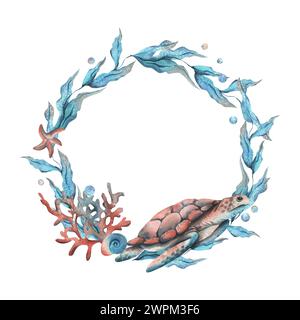 Round frame of sea shells. Hand drawn watercolor painting on white ...