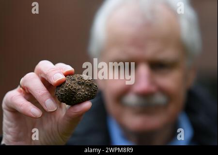 Senior citizen holding a black truffle. Stock Photo