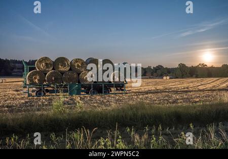 Germany, Lower Saxony, Heidekreis, hay bales on trailer in the evening Stock Photo
