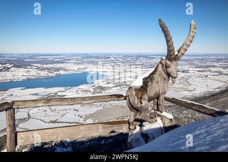Wooden ibex statue on the Tegelberg with a view of the Königswinkel. Schwangau, Bavaria, Germany. Stock Photo