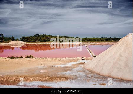 Salt lake on Mallorca, Salines de s'Avall, Cap de Ses Salines, means source of salt, salt basin for the extraction of Flor de Sal and salt dump, Halobacterium colors the water red Stock Photo