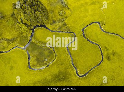 Aerial view of a meandering small stream meandering through a meadow landscape in Eastern Allgäu past a small forest. East Allgäu, Allgäu, Bavaria, Southern Germany, Germany Stock Photo