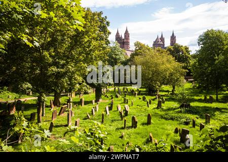 Jewish cemetery in Worms, Martin Buber View Stock Photo