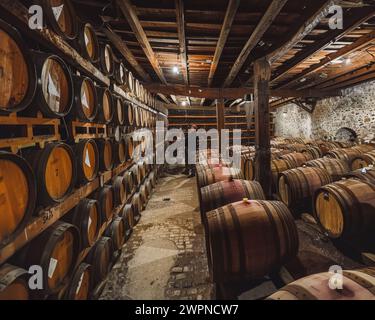 Many wooden barrels arranged in a room. Stock Photo