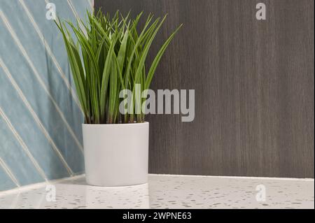 Still life artificial plant in a corner alcove of three different contrasting materials of tiled wall, wooden cabinet and marble countertop. Stock Photo