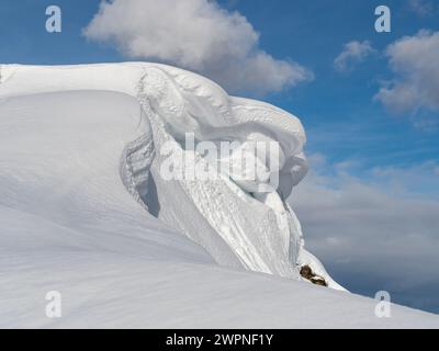 Snowshoe hike on the Hauser Kaibling in the Schladminger Tauern. Stock Photo