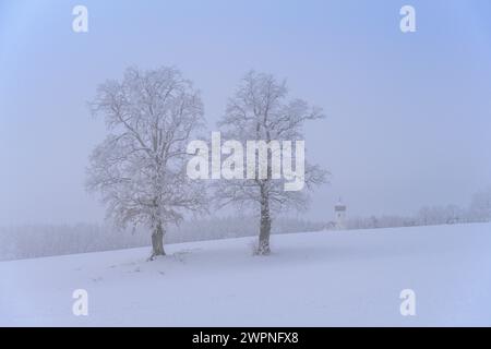 Germany, Bavaria, Pfaffenwinkel, Penzberg, Sankt Johannisrain, Winter landscape with oak trees and church St. Johannisrain Stock Photo