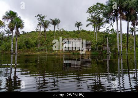 Brazilian rainforest, cruising the Amazon on a boutique ship (MS Janganda) - River cruise Stock Photo