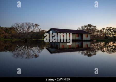 Brazilian rainforest, cruising the Amazon on a boutique ship (MS Janganda) - River cruise Stock Photo