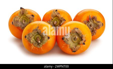 persimmon path isolated on white Stock Photo