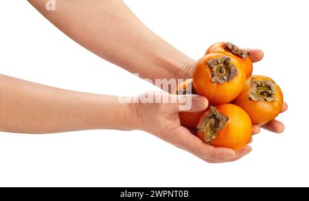 persimmon in hand path isolated on white Stock Photo