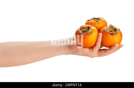 persimmon in hand path isolated on white Stock Photo