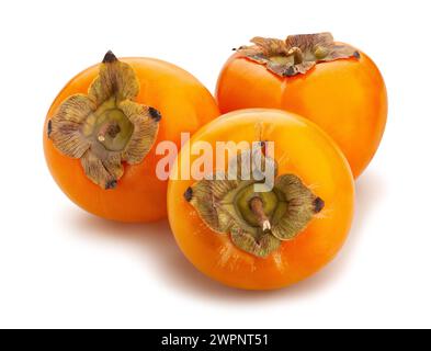 persimmon path isolated on white Stock Photo