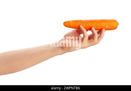 carrots in hand path isolated on white Stock Photo