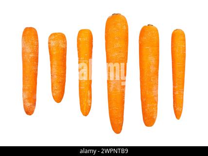 carrots path isolated on white Stock Photo