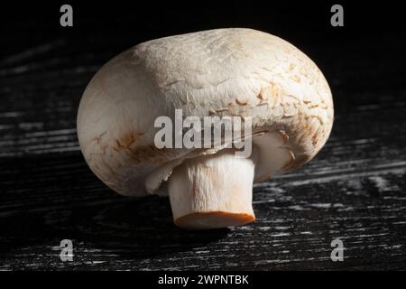 mushroom on black wood background Stock Photo