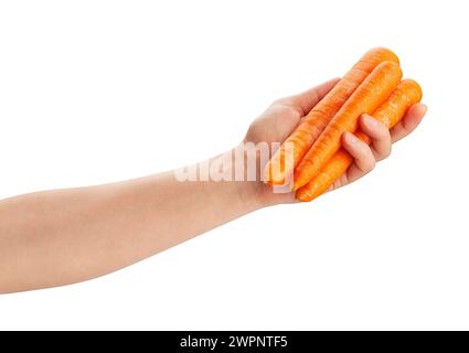 carrots in hand path isolated on white Stock Photo