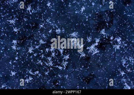 Ice crystals have formed on the blades of grass on a flooded and ice-covered meadow, close-up, top view, Germany Stock Photo