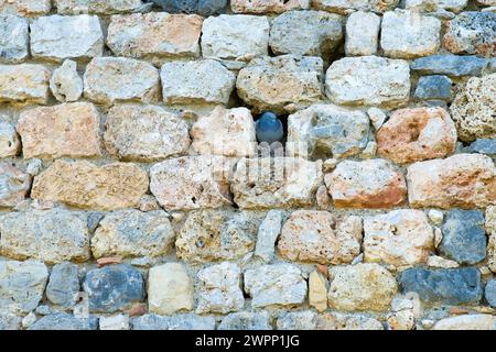 a domestic pigeon, possibly a rock pigeon (Columba livia) sitting in a niche in the ancient city wall of Monteriggioni, Tuscany, Italy Stock Photo