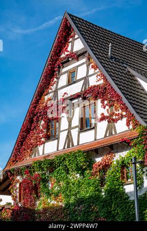 Nehren, district of Tübingen, half-timbered gable and wild vine on the house Opera 1. Stock Photo
