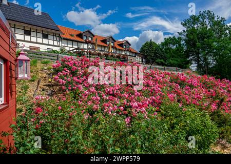 The ruins of Schaumburg Castle, also known as Schaumberg, are located to the west of Schalkau (Sonneberg district) in Thuringia. It was the ancestral seat of the noble Schaumberg family. Stock Photo