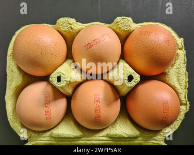 Six brown eggs with stamp of origin in a green egg carton on a dark background Stock Photo