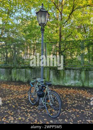 Two bicycles standing by an old street lamp on a sidewalk with autumn leaves in front of a green area with a fence, Wannsee, Berlin, Germany Stock Photo