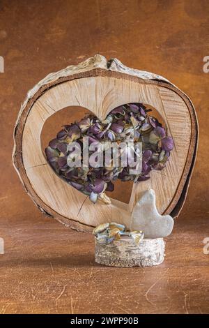 Floral still life of dried hydrangea blossoms, flotsam and jetsam, wooden disk with heart Stock Photo