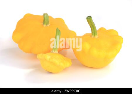 Three yellow bush pumpkins isolated on white background Stock Photo