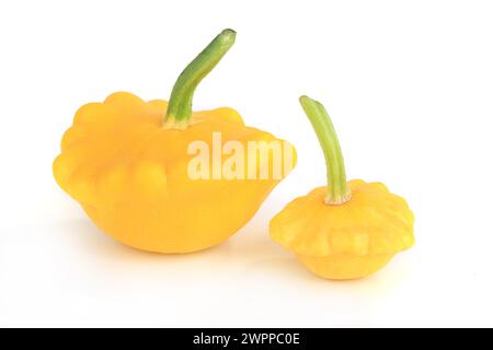 Three yellow bush pumpkins isolated on white background Stock Photo
