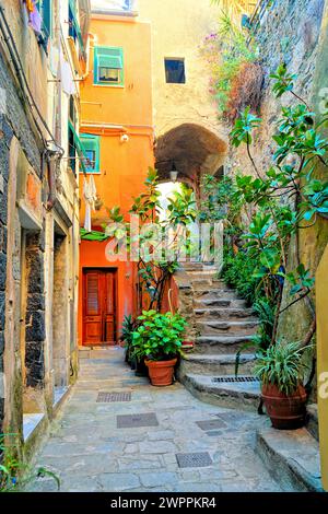 Colorful plant lined old street in the Cinque Terre village of Vernazza, Italy Stock Photo