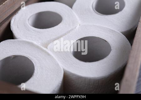 Many toilet paper rolls in crate, closeup Stock Photo