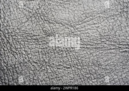 Extreme closeup background texture details of artificial cracked leather material, lines and creases pattern across the surface, seen from above, fron Stock Photo
