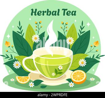 chamomile tea in teapot illustration on white background Stock Vector ...