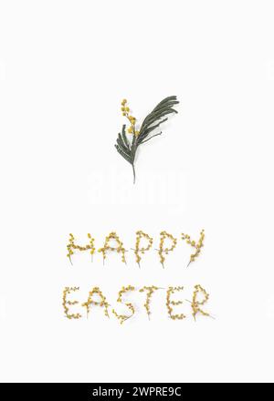 Easter Greetings happy easter postcard template. Yellow mimosa flowers and branches. Top view Stock Photo