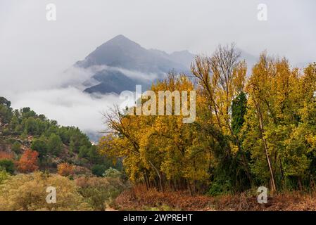 View of some trees with the typical colors of autumn and in the background the peaks of mountains bordered by clouds. Stock Photo