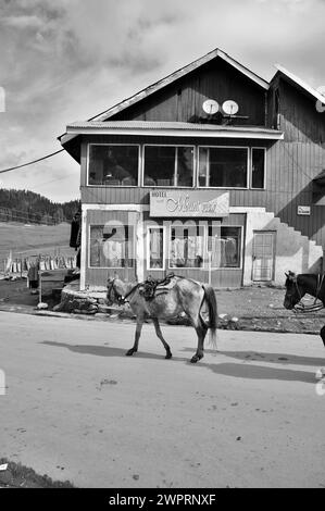 Hotel Mount View, Gulmarg, Baramulla, Kashmir, Jammu and Kashmir, India, Asia Stock Photo