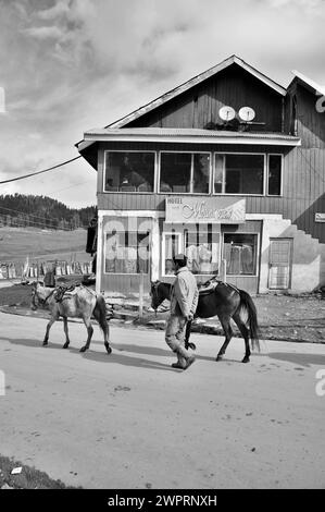 Hotel Mount View, Gulmarg, Baramulla, Kashmir, Jammu and Kashmir, India, Asia Stock Photo