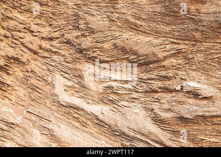 Warm fossil rock texture. Background texture of limestone surface Stock Photo