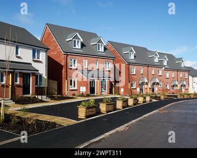 New build housing built by housebuilder Persimmon. Cullompton, Devon UK Stock Photo