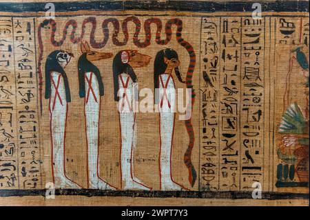 Hieroglyphs on papyrus, message, drawing, Egyptian, kingdom, antiquity, world history, history, tradition, culture, cultural history, stone, sign Stock Photo