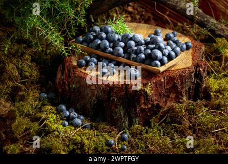 Fresh blueberries on a pine stump in the forest. Stock Photo