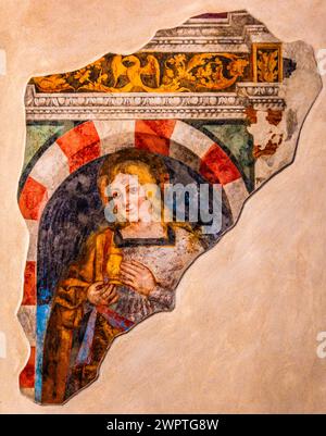 Frescoes, Museo Civico d'Arte, Palzuo Ricchieri, old town centre with magnificent aristocratic palaces and Venetian-style arcades, Pordenone, Friuli Stock Photo