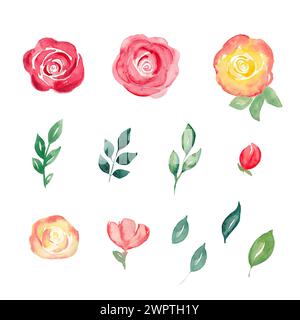 Set of floral elements. Flowers and green leaves. Watercolor hand drawn illustration isolated on white background. Stock Photo