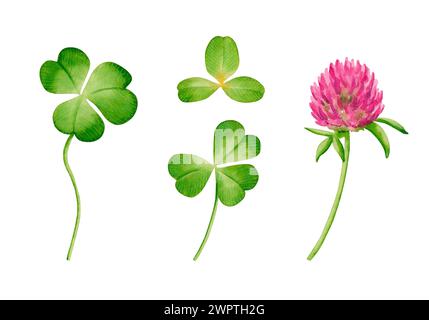 Watercolor set of clover flower and leaves.  Hand drawn illustration isolated on a white background Stock Photo